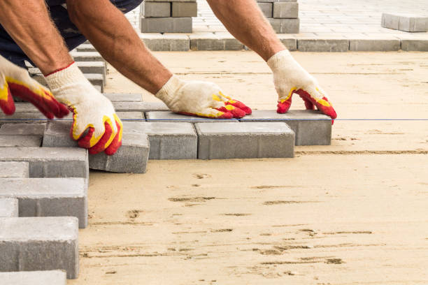 Best Driveway Paving Near Me  in Muscoda, WI