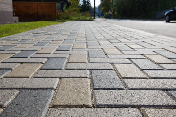 Best Driveway Pavers Near Me  in Muscoda, WI